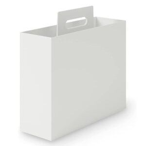 Plus Japan PP Carry Box